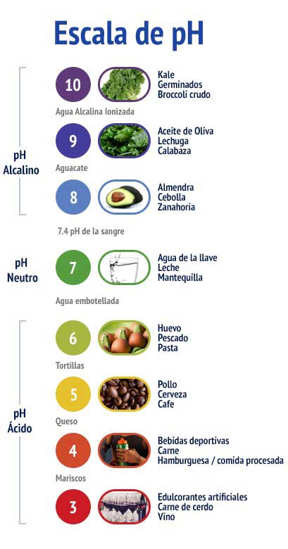 Infografía de escala de pH que muestra el nivel del agua alcalina ionizada comparada con otros alimentos y bebidas comunes