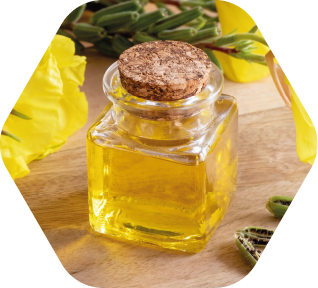 Frasco de vidrio con aceite de onagra y flores amarillas, fuente natural de ácidos grasos esenciales