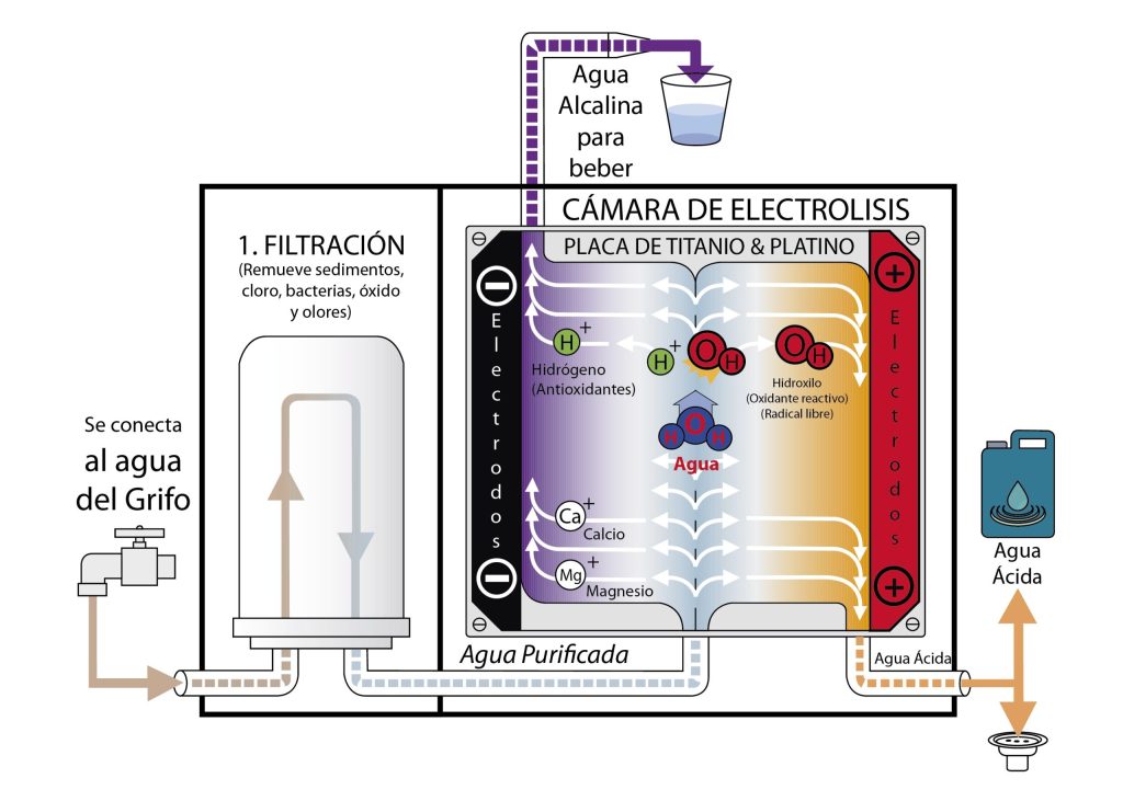 Diagrama del proceso de filtración y electrólisis del agua Kangen